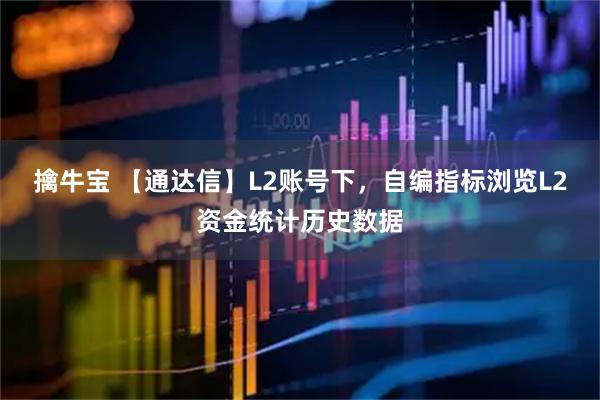 擒牛宝 【通达信】L2账号下，自编指标浏览L2资金统计历史数据