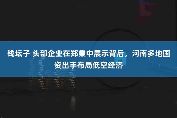 钱坛子 头部企业在郑集中展示背后，河南多地国资出手布局低空经济