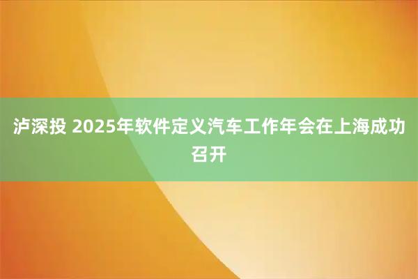 泸深投 2025年软件定义汽车工作年会在上海成功召开