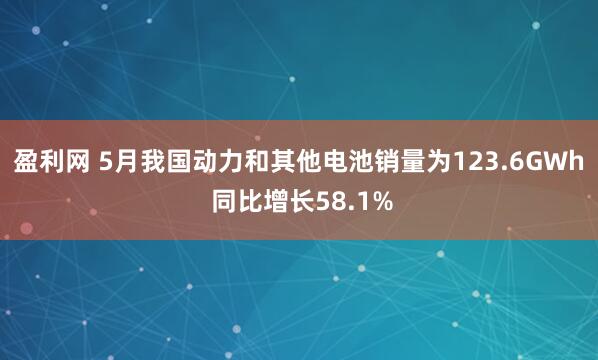 盈利网 5月我国动力和其他电池销量为123.6GWh 同比增长58.1%