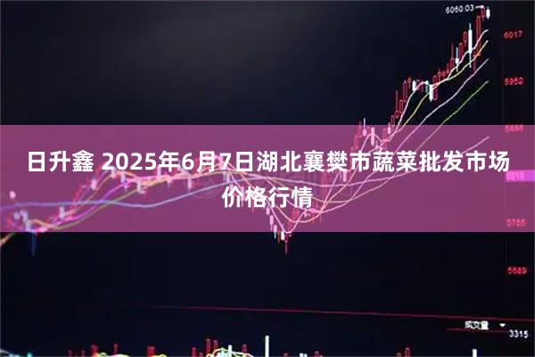 日升鑫 2025年6月7日湖北襄樊市蔬菜批发市场价格行情