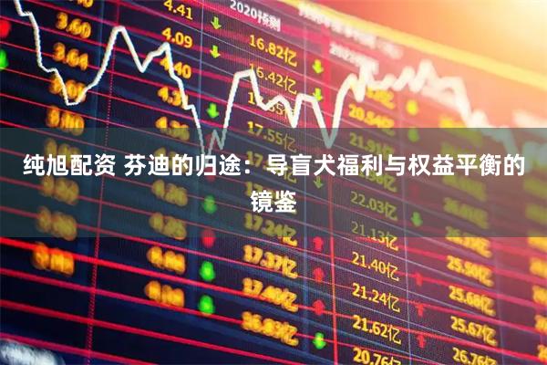 纯旭配资 芬迪的归途：导盲犬福利与权益平衡的镜鉴